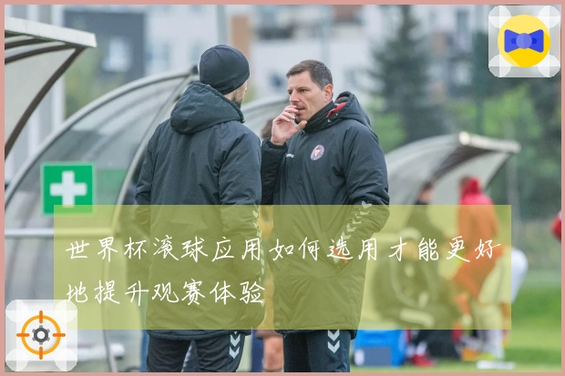 世界杯滚球应用如何选用才能更好地提升观赛体验