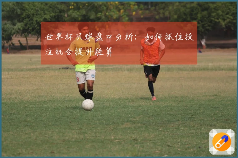 世界杯买球盘口分析：如何抓住投注机会提升胜算