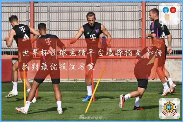 世界杯让球竞猜平台选择指南 如何找到最优投注方案